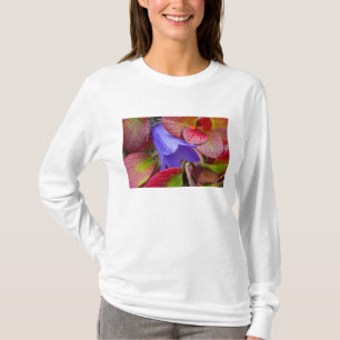 Camiseta N.A., EE. UU., Alaska.  Campanilla azul en la tund