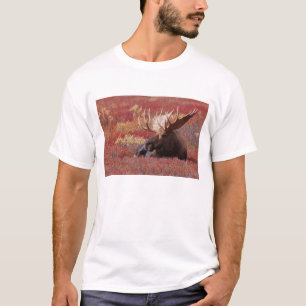 Camiseta N.A., EE.UU., Alaska, Parque Nacional Denali, Bull