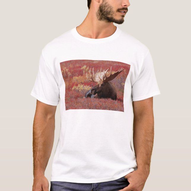 Camiseta N.A., EE. UU., Alaska, Parque Nacional Denali, Tor (Anverso)