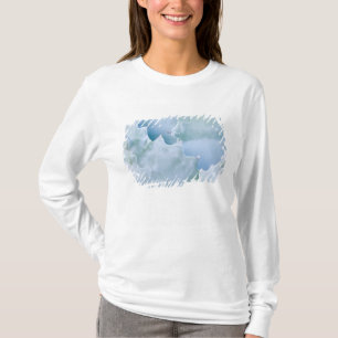 Camiseta N.A., EE. UU., Arizona, Tucson, desierto de Sonora