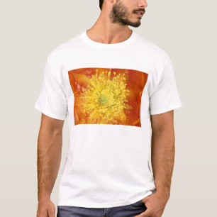 Camiseta N.A., EE. UU., Arizona, Tucson, Desierto de Sonora