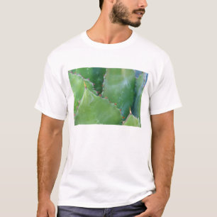 Camiseta N.A., EE.UU., Arizona, Tucson, desierto de Sonora