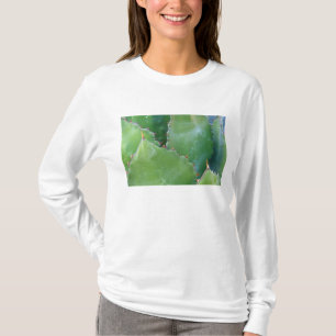 Camiseta N.A., EE.UU., Arizona, Tucson, desierto de Sonora