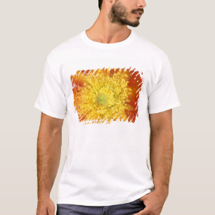 Camiseta N.A., EE. UU., Arizona, Tucson, Desierto de Sonora