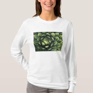 Camiseta N.A., EE. UU., Arizona, Tucson, Desierto de Sonora