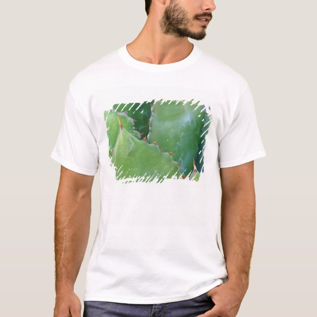 Camiseta N.A., EE.UU., Arizona, Tucson, desierto de Sonora (Anverso)