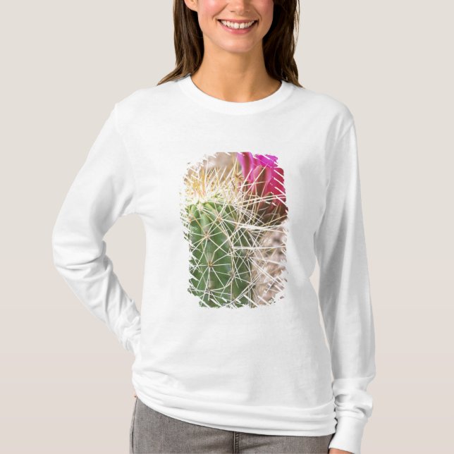 Camiseta N.A., EE. UU., AZ, Phoenix, Desierto Botánico (Anverso)