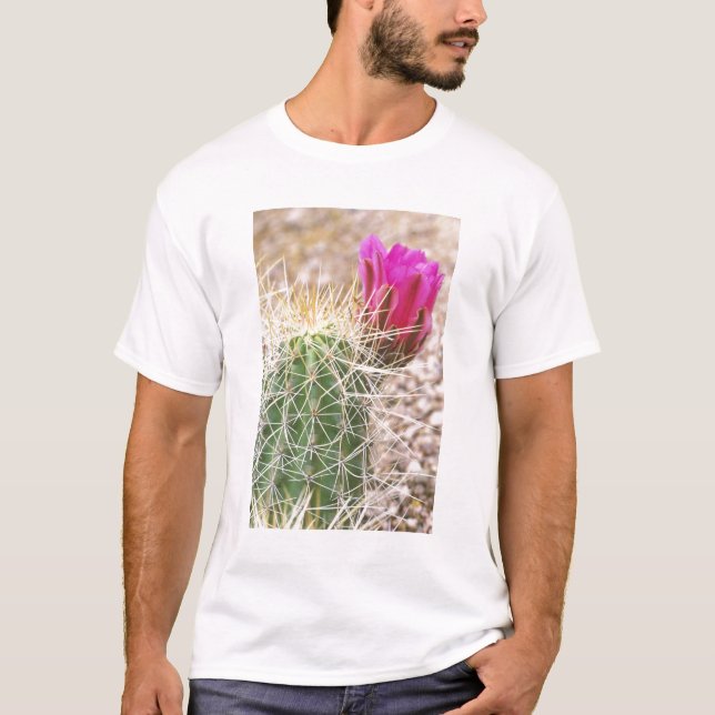 Camiseta N.A., EE. UU., AZ, Phoenix, Desierto Botánico (Anverso)