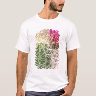 Camiseta N.A., EE. UU., AZ, Phoenix, Desierto Botánico