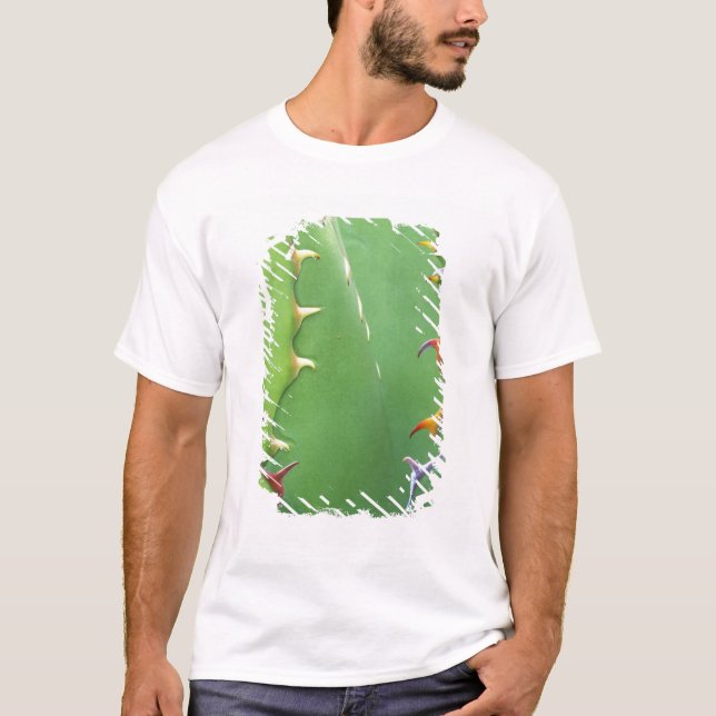 Camiseta N.A., EE. UU., AZ, Phoenix, Desierto Botánico 2 (Anverso)
