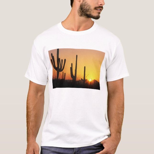 Camiseta N.A., EE. UU., AZ, Saguaro NP, Atardecer de Saguar (Anverso)