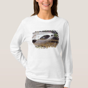 Camiseta N.A., EE. UU., Carolina del Sur, Charleston. Magno