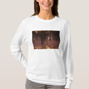 Camiseta N.A., EE. UU., Georgia, George Smith State Park.