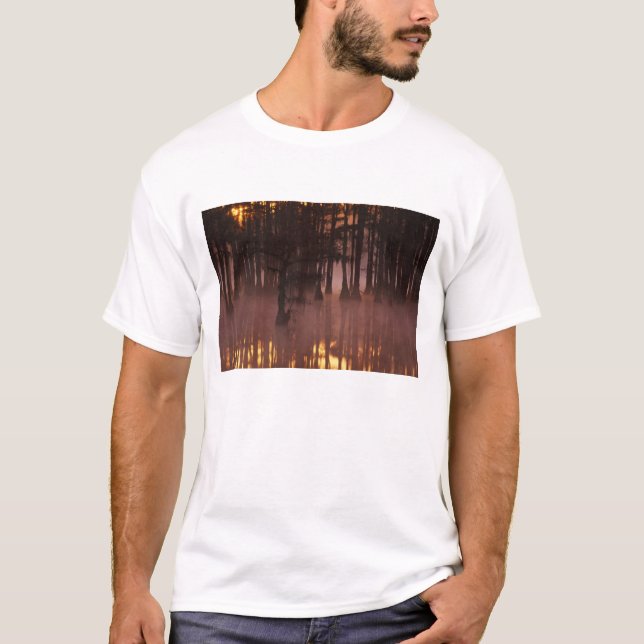 Camiseta N.A., EE. UU., Georgia, George Smith State Park. (Anverso)