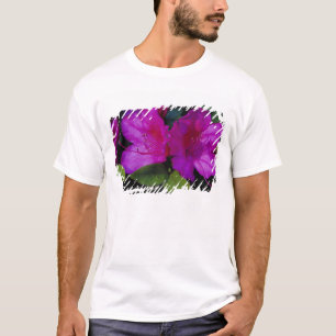 Camiseta N.A. EE.UU., Georgia, Savannah. Azalea en flor.