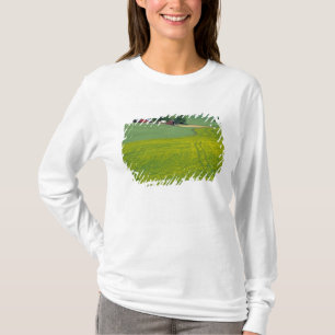 Camiseta N.A., EE. UU., Idaho, condado de Latah, cerca de G