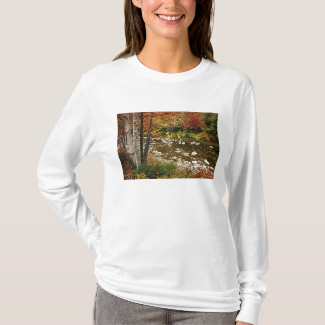 Camiseta N.A., EE.UU., New Hampshire, White Mountains, (Anverso)