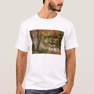 Camiseta N.A., EE. UU., Nuevo Hampshire, Montañas Blancas,
