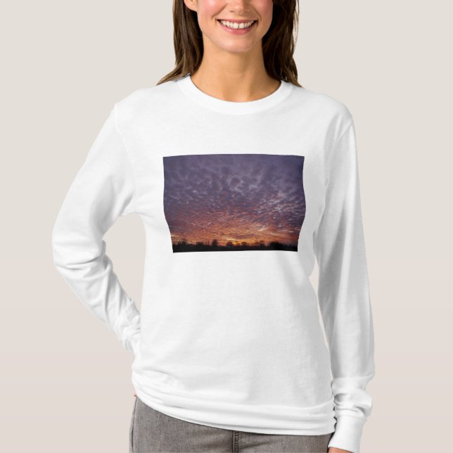 Camiseta N.A., EE. UU., Nuevo México, cerca de Las Cruces, (Anverso)
