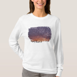 Camiseta N.A., EE. UU., Nuevo México, cerca de Las Cruces,