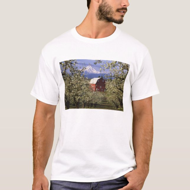 Camiseta N.A., EE. UU., Oregón, condado de Hood River. Rojo (Anverso)