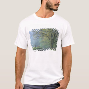 Camiseta N.A., EE. UU., Tennessee, Parque Nacional Smokey M