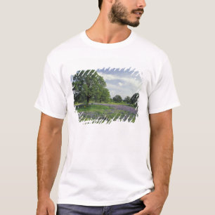 Camiseta N.A, EE. UU., Texas, lago Buchanan, robles y azul