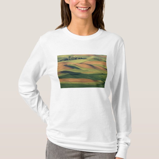 Camiseta N.A., EE. UU., Washington, condado de Whitman. (Anverso)