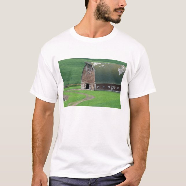 Camiseta N.A., EE. UU., Washington, Condado de Whitman. Ant (Anverso)
