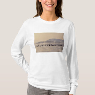 Camiseta N.A., EE.UU., Washington, Islas San Juan Orca