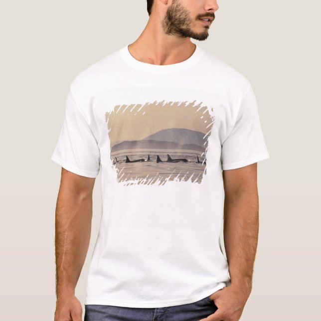 Camiseta N.A., EE.UU., Washington, Islas San Juan Orca (Anverso)