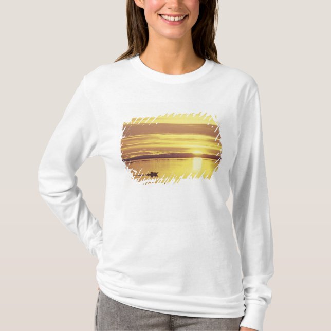 Camiseta NA, Canadá, Ártico Canadiense, Isla de Baffin (Anverso)
