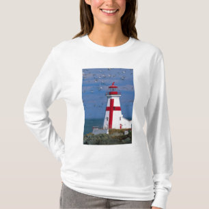 Camiseta NA, Canadá, Nuevo Brunswick, Isla Campobello. 8