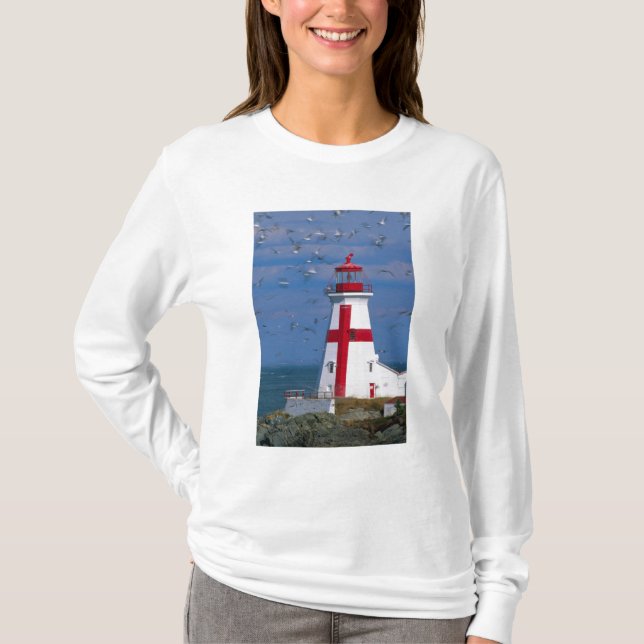 Camiseta NA, Canadá, Nuevo Brunswick, Isla Campobello. 8 (Anverso)