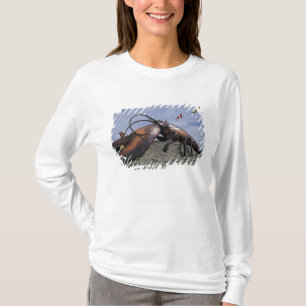 Camiseta NA, Canadá, Nuevo Brunswick, Shediak, del mundo
