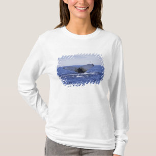 Camiseta NA, Canadá, Terranova, Bahía de la Trinidad. Jorob