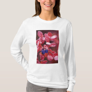 Camiseta NA, EE. UU., Alaska, Denali NP, Arándanos en