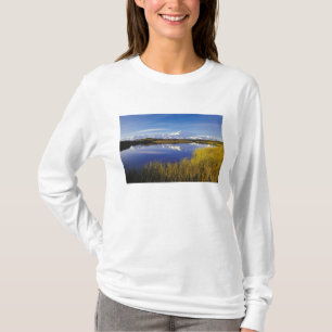 Camiseta NA, EE. UU., Alaska, Denali NP Mt. McKinley en