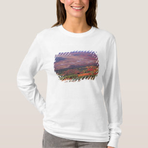 Camiseta NA, EE. UU., Alaska, Denali NP, Vista de McKinley