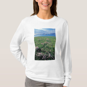 Camiseta NA, EE. UU., Alaska, Isla Aleutiana, Escénico con