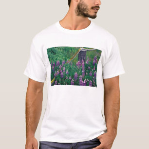 Camiseta NA, EE. UU., Alaska, Islas Aleutianas, Unalaska,
