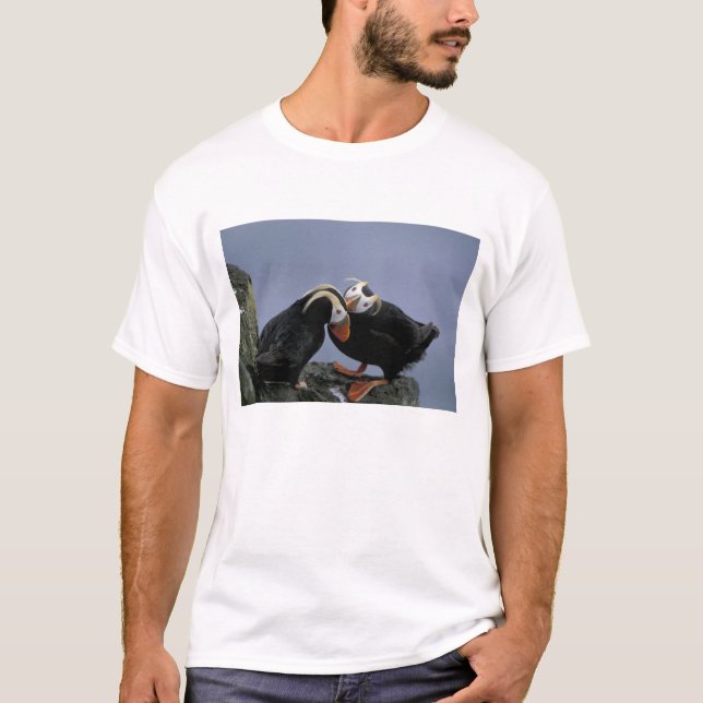 Camiseta NA, EE. UU., Alaska, Mar de Bering, Pribilofs. Pen (Anverso)