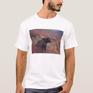 Camiseta NA, EE. UU., Alaska, Parque Nacional Denali. Una h