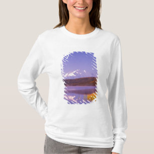 Camiseta NA, EE. UU., Alaska, Parque Nacional Denali, Wonde