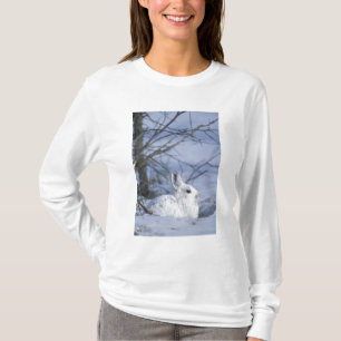 Camiseta NA, EE. UU., Alaska. Vida Silvestre Nacional del Á