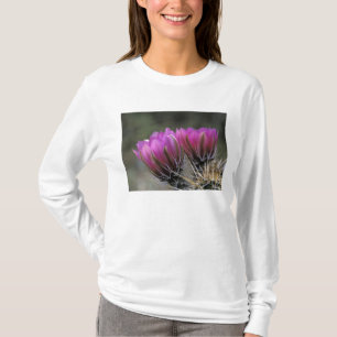 Camiseta NA, EE. UU., Arizona, Desierto de Sonora. Erizo