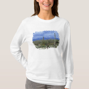 Camiseta NA, EE.UU., Arizona, Monumento Nacional Saguaro,