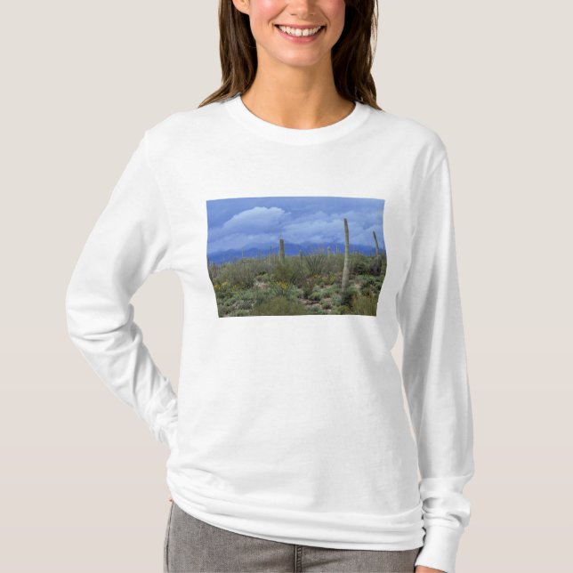 Camiseta NA, EE.UU., Arizona, Monumento Nacional Saguaro, (Anverso)