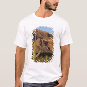 Camiseta NA, EE. UU., Arizona. Organ Pipe Cactus National