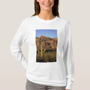Camiseta NA, EE. UU., Arizona. Organ Pipe Cactus National